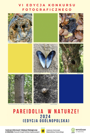 Konkurs fotograficzny „Pareidolia w naturze”