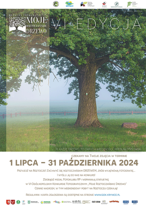 6. Ogólnopolski Konkurs Fotograficzny „Moje roztoczańskie drzewo”